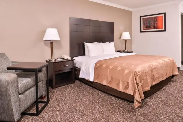 Oda