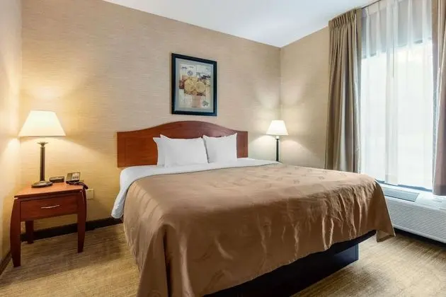 Süit, 1 En Büyük (King) Boy Yatak ve Çekyat, Sigara İçilmez (Larger Unit, 2 Person Sofa bed)