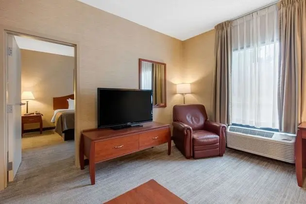 Süit, 1 En Büyük (King) Boy Yatak ve Çekyat, Sigara İçilmez (Larger Unit, 2 Person Sofa bed)
