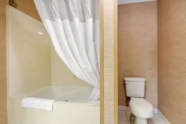 Süit, 1 En Büyük (King) Boy Yatak ve Çekyat, Sigara İçilmez (Larger Unit, 2 Person Sofa bed)