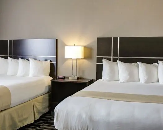 Süit, Birden Çok Yatak, Engellilere Uygun, Sigara İçilmez