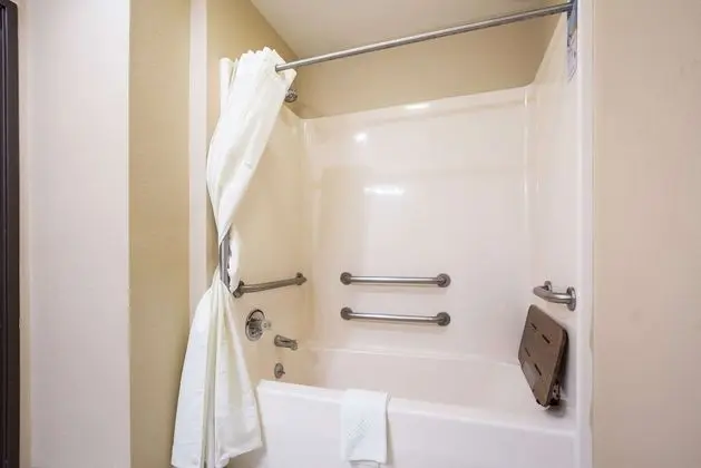 Standard Oda, 1 Büyük (Queen) Boy Yatak, Engellilere Uygun, Sigara İçilmez (Accessible Tub)