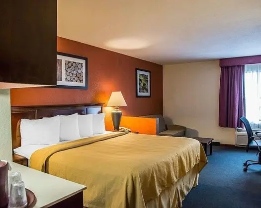 1 King Bed, Suite, Nonsmoking