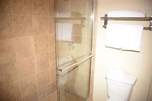 Standard Oda, 2 Büyük (Queen) Boy Yatak, Engellilere Uygun, Sigara İçilmez (Wheelchair Accessible)