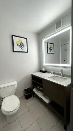 Standard Süit, 1 En Büyük (King) Boy Yatak, Sigara İçilmez