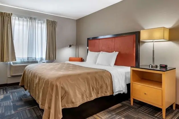 Standard Tek Kişilik Oda, 1 En Büyük (King) Boy Yatak, Sigara İçilmez