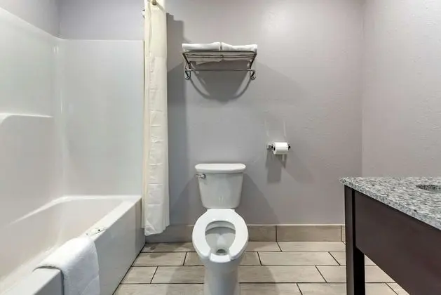 Standard Tek Kişilik Oda, 1 En Büyük (King) Boy Yatak, Sigara İçilmez