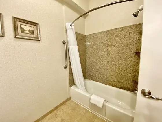 Executive Süit, 1 En Büyük (King) Boy Yatak ve Çekyat, Sigara İçilmez