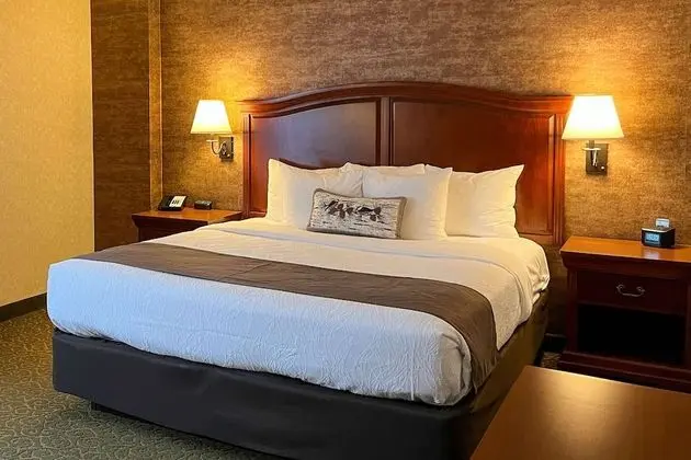 Süit, 1 En Büyük (King) Boy Yatak ve Çekyat, Engellilere Uygun, Sigara İçilmez