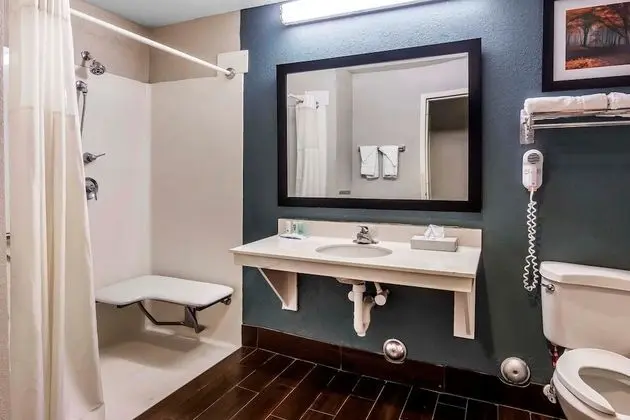 Oda, 1 En Büyük (King) Boy Yatak, Engellilere Uygun, Sigara İçilmez