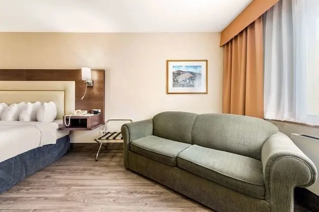 Business Room 1 King Bed with sofa bed Non Smoking