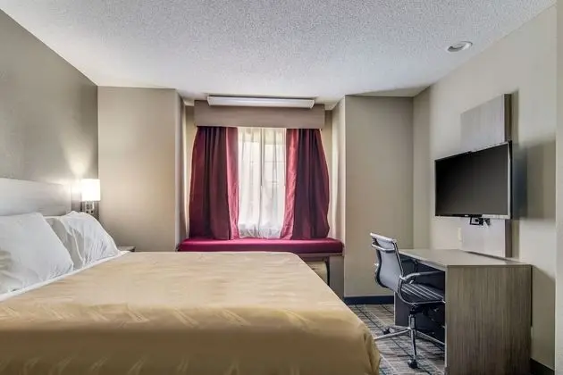 Standard Oda, 1 Büyük (Queen) Boy Yatak, Sigara İçilmez