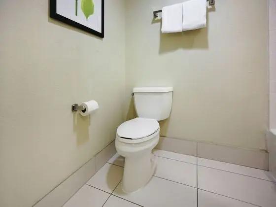 Standard Oda, 2 Büyük (Queen) Boy Yatak, Sigara İçilmez