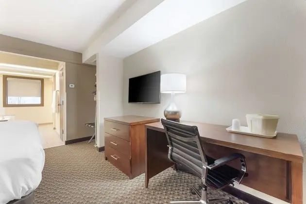 Süit, 1 En Büyük (King) Boy Yatak, Sigara İçilmez (1 room)