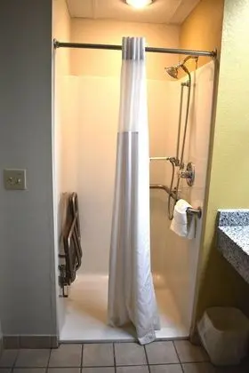 Oda, 1 En Büyük (King) Boy Yatak, Engellilere Uygun, Sigara İçilmez (Roll-In Shower)