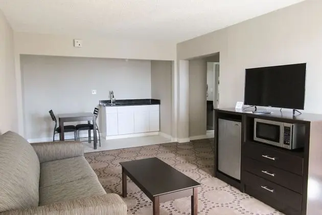 Süit, Birden Çok Yatak, Sigara İçilmez (2 Double, 2 Person Sofa Bed)