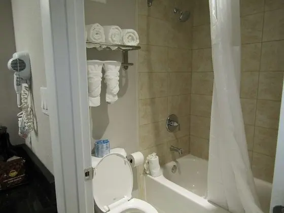 Süit, Birden Çok Yatak, Sigara İçilmez (2 Double, 2 Person Sofa Bed)