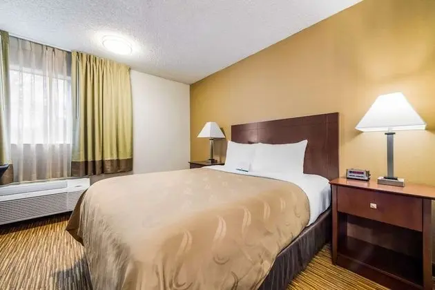 Standard Oda, 1 Büyük (Queen) Boy Yatak, Sigara İçilmez (Pet Friendly)
