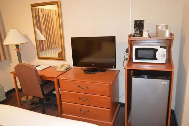 Standard Oda, 1 Büyük (Queen) Boy Yatak, Sigara İçilmez (Pet Friendly)