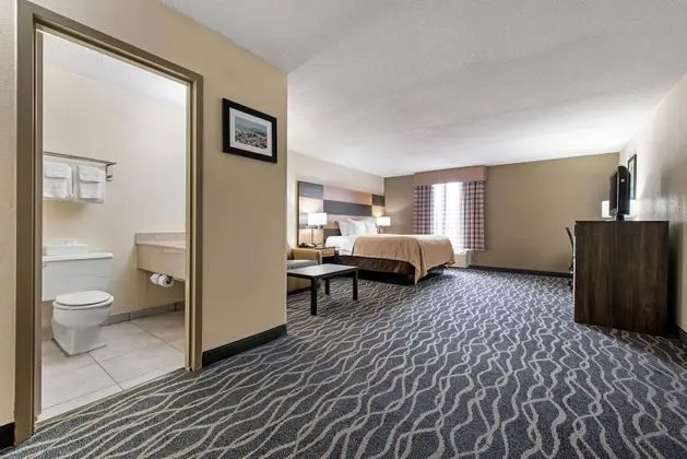 Suite, King Bed, 1 person Sofa Bed