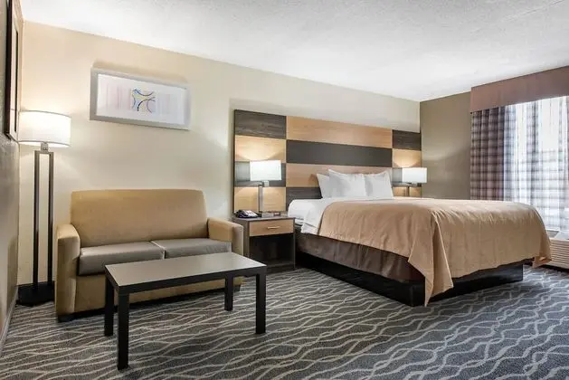 Suite, King Bed, 1 person Sofa Bed