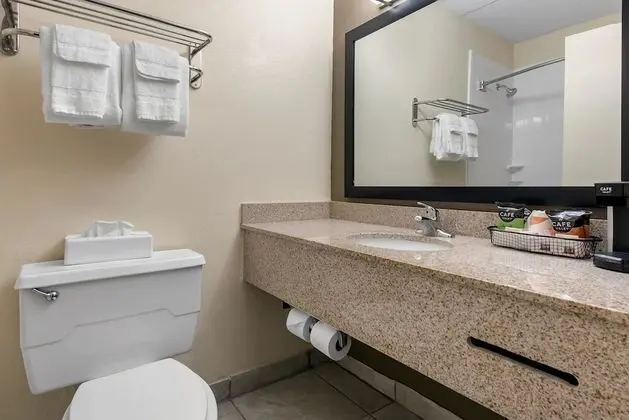 Suite, King Bed, 1 person Sofa Bed
