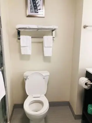 Oda, 2 Çift Kişilik Yatak, Sigara İçilmez (Efficiency)