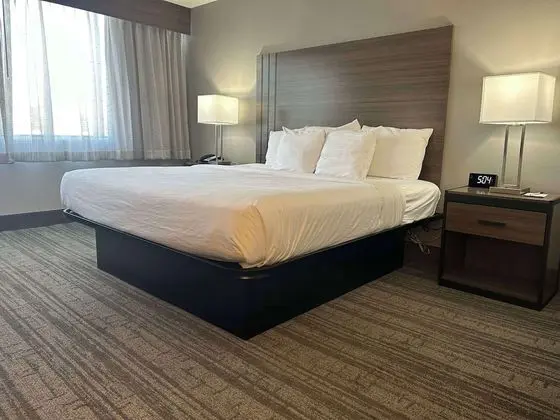 Standard Oda, 1 En Büyük (King) Boy Yatak, Engellilere Uygun, Buzdolabı ve Mikrodalga