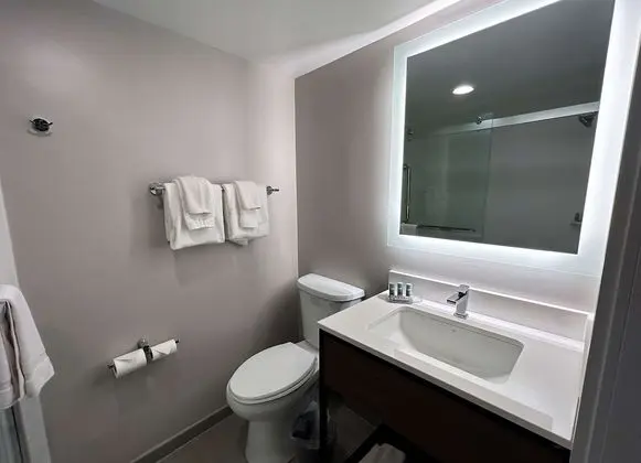 Süit, 1 En Büyük (King) Boy Yatak, Sigara İçilmez, Buzdolabı ve Mikrodalga (with Single Sofabed)