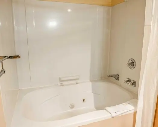 Süit, 1 En Büyük (King) Boy Yatak ve Çekyat, Sigara İçilmez, Sıcak Su Küveti (1 Person Sofa Bed)
