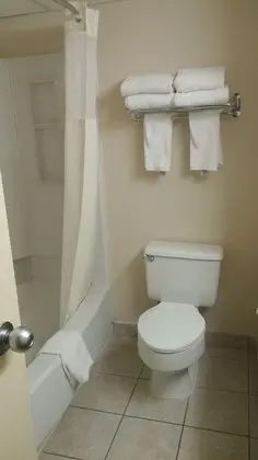 Oda, 2 Büyük (Queen) Boy Yatak, Sigara İçilmez (Pet Friendly)