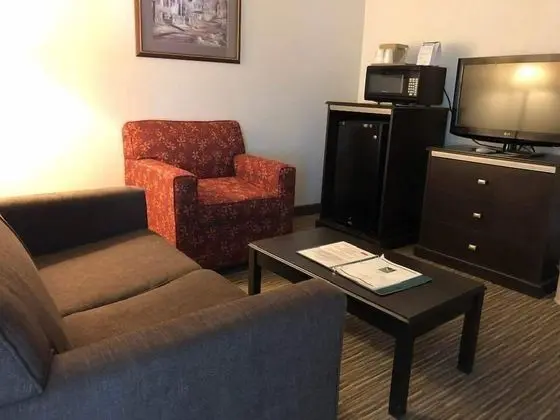 Oda, 2 Büyük (Queen) Boy Yatak, Sigara İçilmez (Pet-Friendly)