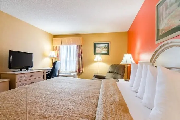 Standard Oda, 1 En Büyük (King) Boy Yatak, Sigara İçilmez