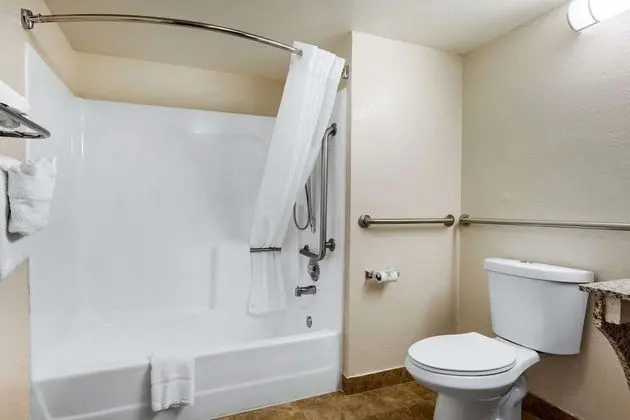 Standard Oda, 1 En Büyük (King) Boy Yatak, Engellilere Uygun, Sigara İçilmez (Accessible Tub)