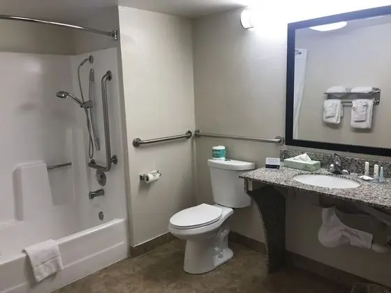 Standard Oda, 1 En Büyük (King) Boy Yatak, Engellilere Uygun, Sigara İçilmez (Accessible Tub)
