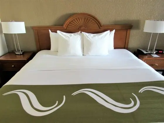 Oda, 2 Büyük (Queen) Boy Yatak, Sigara İçilmez (Pet Friendly)