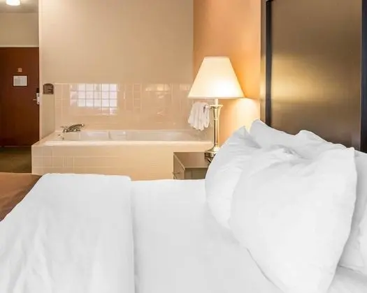 Süit, Sigara İçilmez, Sıcak Su Küveti (1 King Bedroom)