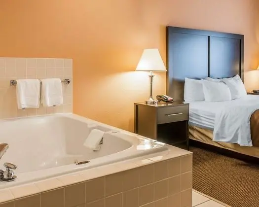 Süit, Sigara İçilmez, Sıcak Su Küveti (1 King Bedroom)