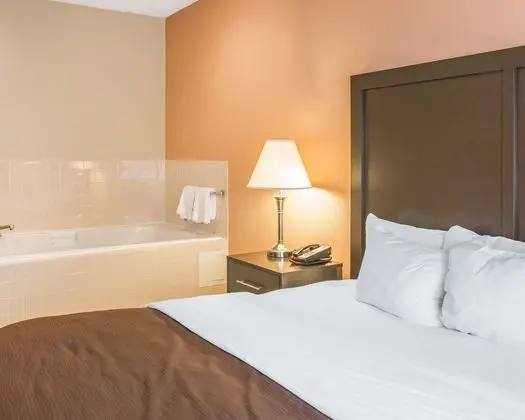 Süit, Sigara İçilmez, Sıcak Su Küveti (1 King Bedroom)