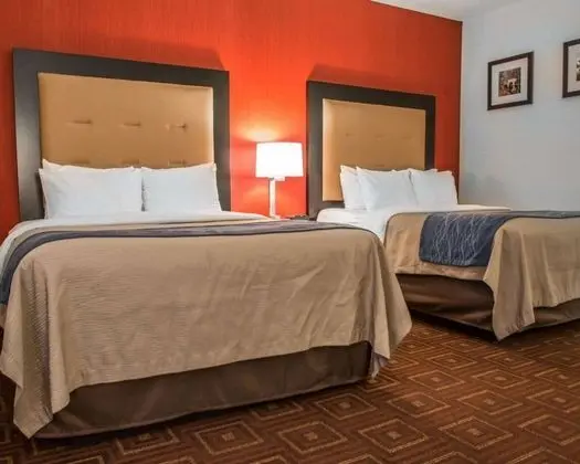 Oda, 2 Büyük (Queen) Boy Yatak, Sigara İçilmez (Pet Friendly)