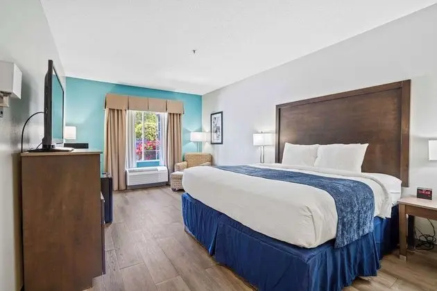 Standard Oda, 1 En Büyük (King) Boy Yatak, Sigara İçilmez (Pet Friendly)