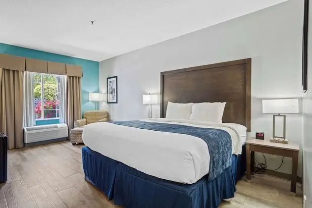 Standard Oda, 1 En Büyük (King) Boy Yatak, Sigara İçilmez (Pet Friendly)