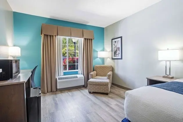 Standard Oda, 1 En Büyük (King) Boy Yatak, Sigara İçilmez (Pet Friendly)