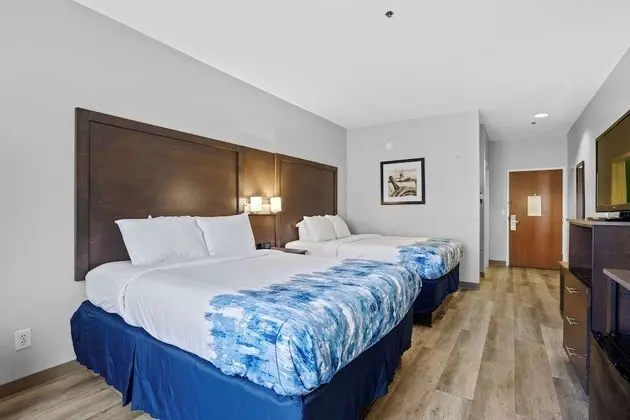 Standard Oda, 2 Büyük (Queen) Boy Yatak, Sigara İçilmez (Pet Friendly)