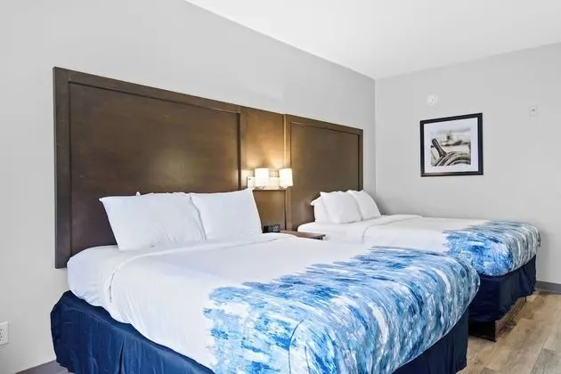 Standard Oda, 2 Büyük (Queen) Boy Yatak, Sigara İçilmez (Pet Friendly)