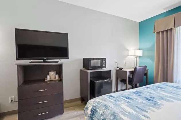 Standard Oda, 2 Büyük (Queen) Boy Yatak, Sigara İçilmez (Pet Friendly)