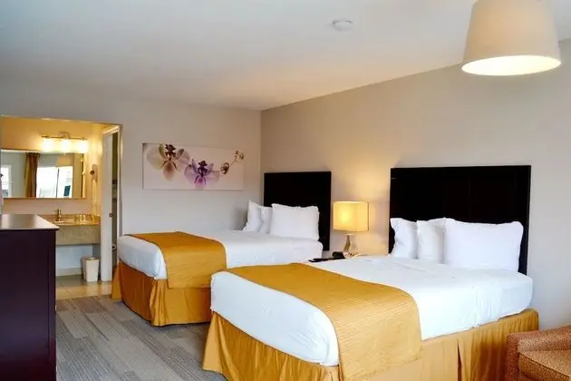 Standard Oda, 2 Çift Kişilik Yatak, Sigara İçilmez (Tile Floor)