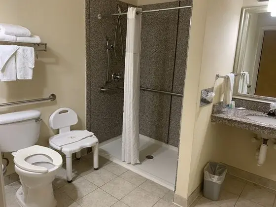 Oda, 1 En Büyük (King) Boy Yatak, Engellilere Uygun, Sigara İçilmez (1st Floor)