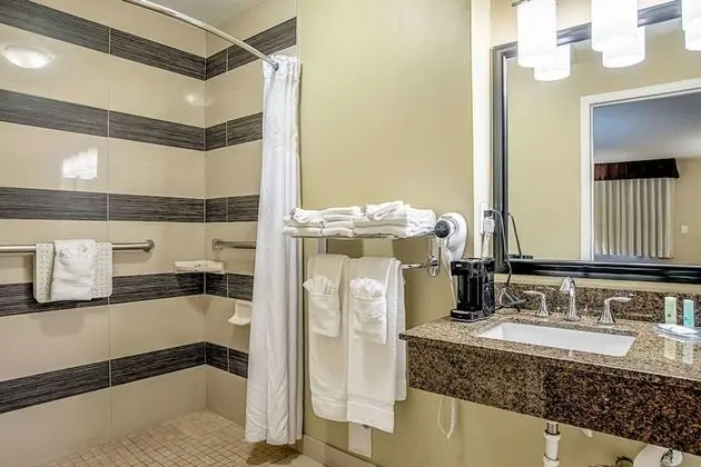 Standard Oda, 2 Çift Kişilik Yatak, Engellilere Uygun, Sigara İçilmez (Roll-In Shower)
