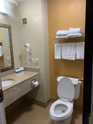 Standard Oda, 1 En Büyük (King) Boy Yatak, Sigara İçilmez